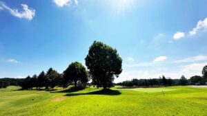 水戸グリーンカントリークラブ山方コース 戦略性と距離を兼ね備えたタフな名門